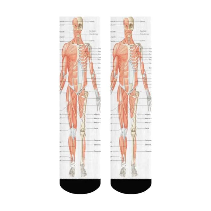 Chaussettes mi-mollet pour hommes