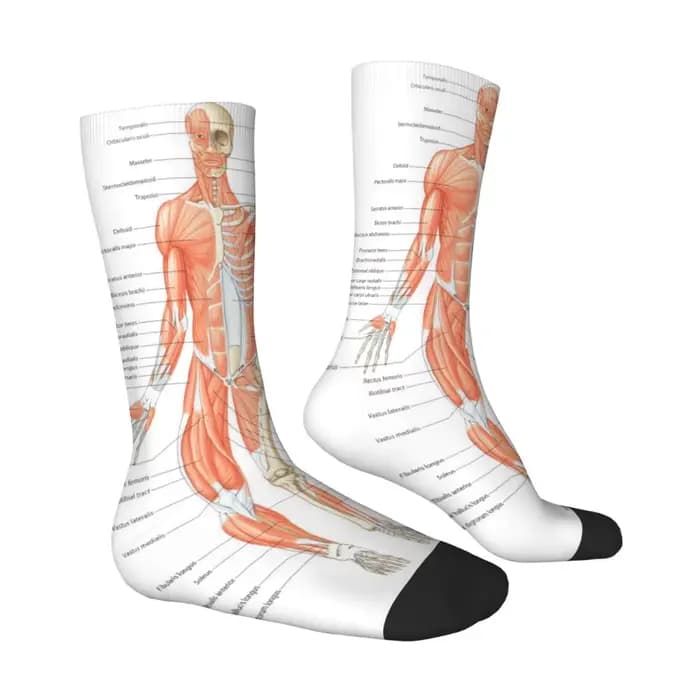 Chaussettes mi-mollet pour hommes
