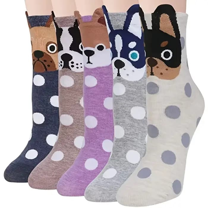 10/5/4/2 paires de chaussettes pour femmes