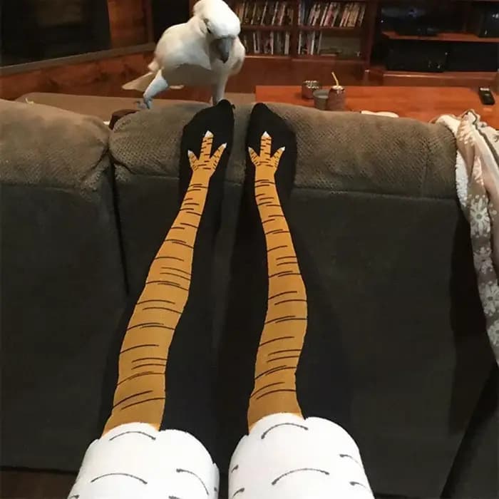 Hommes drôle 3D poulet chaussettes imprimer dessin animé Cosplay haute flexibilité cuisse