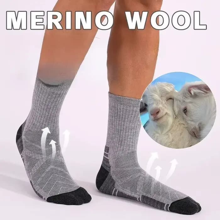 Chaussettes en laine mérinos pour hommes et femmes