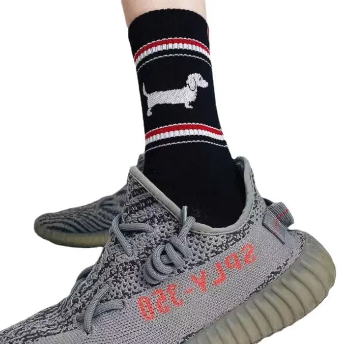 Teckel Chaussettes pour hommes et femmes