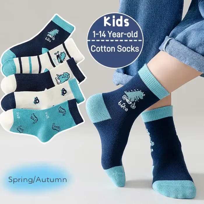 LDino 5 paires de chaussettes pour garçons