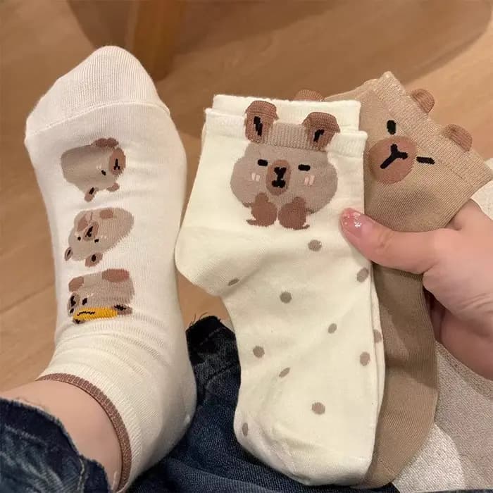 5 paires de chaussettes Capybara mignonnes pour femmes