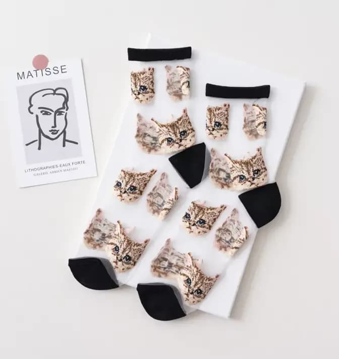 Chaussettes transparentes en fibre de verre pour femmes, chaussettes chat mignon, mode coréenne pour
