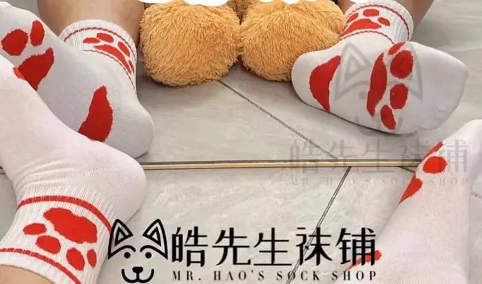 2025 nouveautés 4 paires de chaussettes décontractées en coton imprimé patte d'ours pour hommes, cha