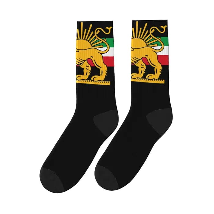 Chaussettes Shir o Khorshid Lion and Sun Iran, chaussettes antibactériennes pour hommes, chaussettes