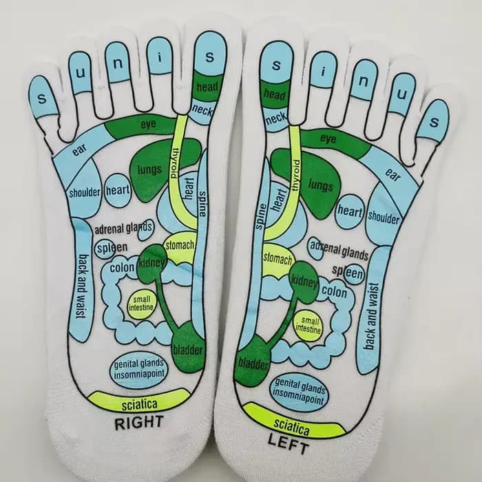 Chaussettes d'acupression pour la physiothérapie et le massage, illustration complète en anglais, re