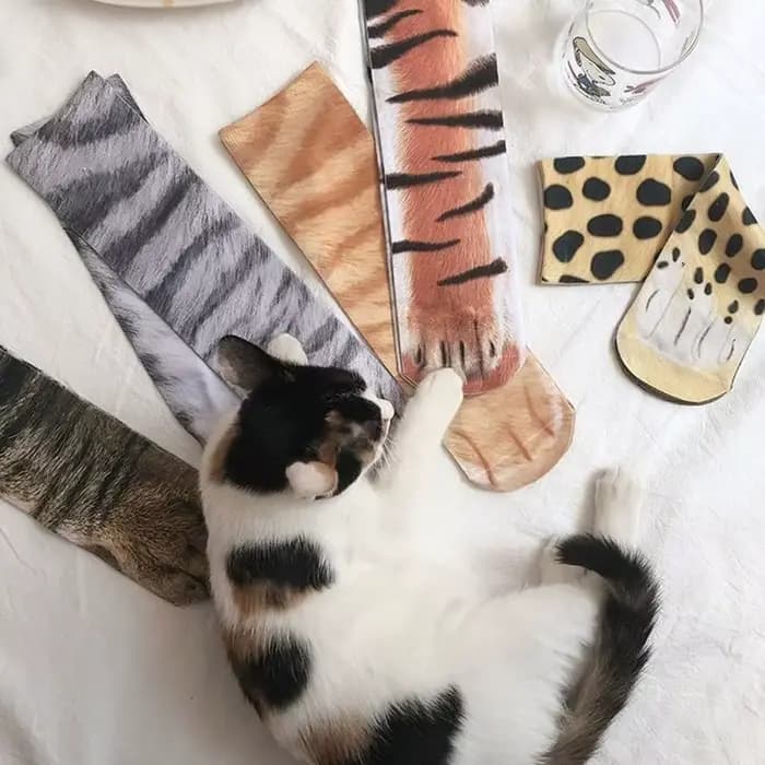 Chaussettes animaux drôles imprimées en 3D patte chat chien Design nouveauté