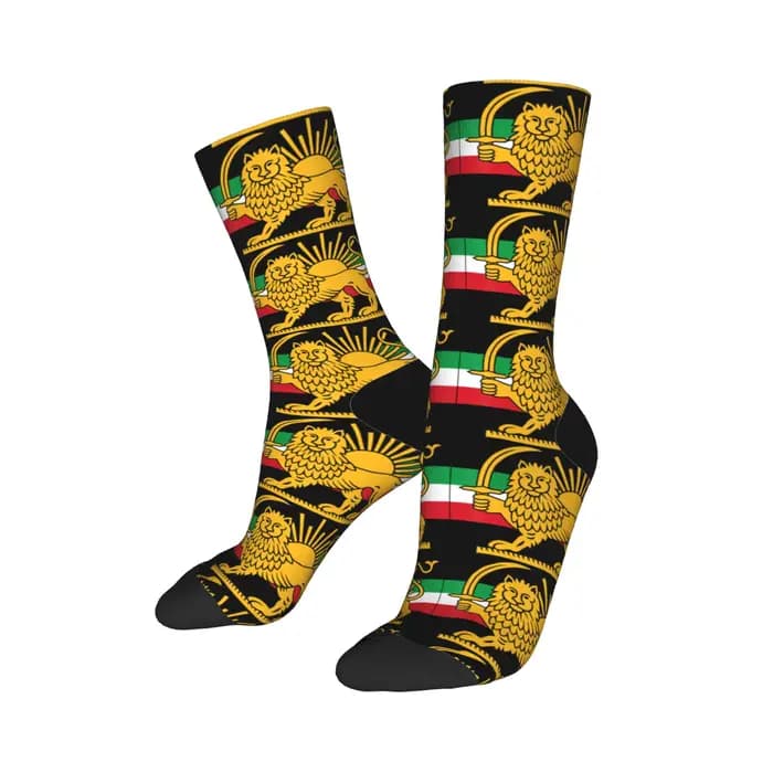 Chaussettes Shir o Khorshid Lion and Sun Iran, chaussettes amusantes, antidérapantes, pour hommes, confortables pour l'escalade, automne