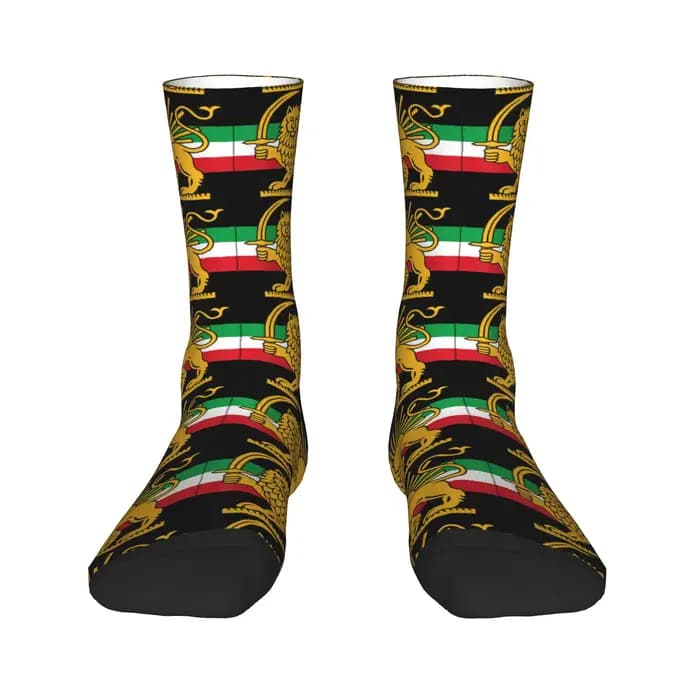 Chaussettes Shir o Khorshid Lion and Sun Iran, chaussettes amusantes, antidérapantes, pour hommes, confortables pour l'escalade, automne