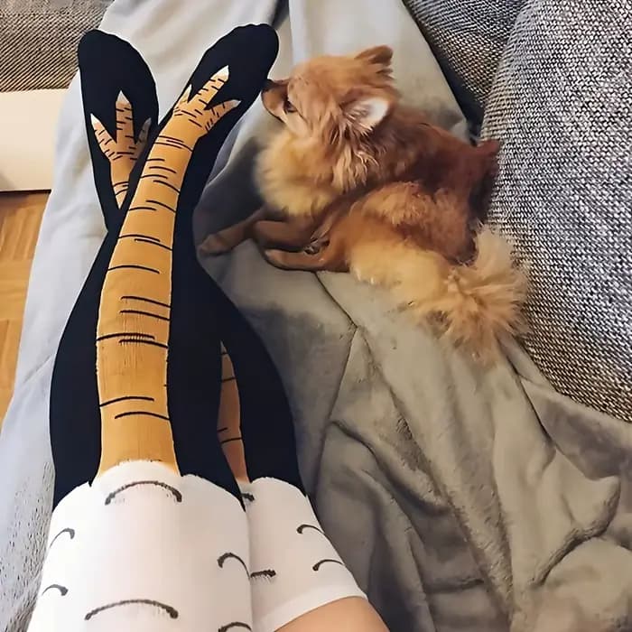 1/2 paires femmes genou chaussettes hautes à la mode dessin animé drôle poulet griffe