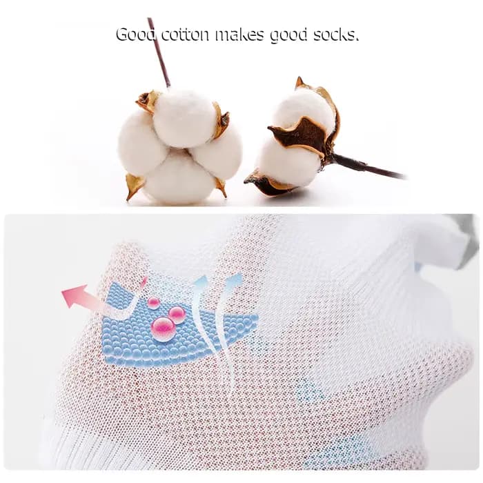 Chaussettes en coton biologique pour hommes
