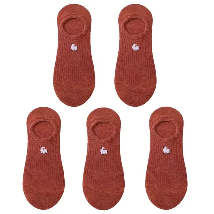 5 paires de 10 pièces printemps mode chaussettes femmes dessin animé animal broderie coton