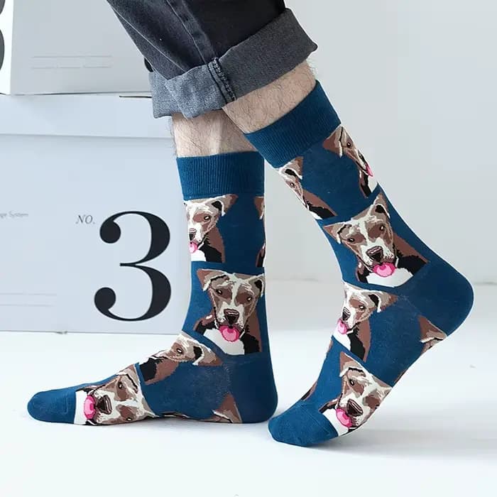 5 paires hommes chien chaussettes mi-mollet