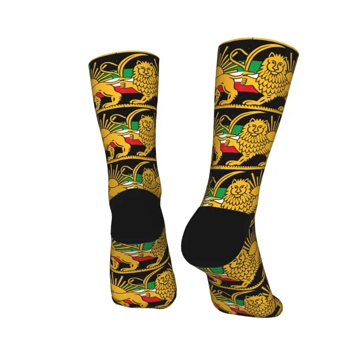 Chaussettes Shir o Khorshid Lion and Sun Iran, chaussettes amusantes, antidérapantes, pour hommes, confortables pour l'escalade, automne