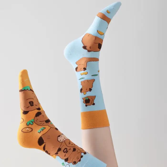 1 paire de chaussettes mi-mollet Capybara de dessin animé mignon
