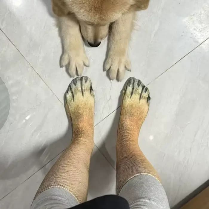 Chaussettes animaux drôles imprimées en 3D patte chat chien Design nouveauté