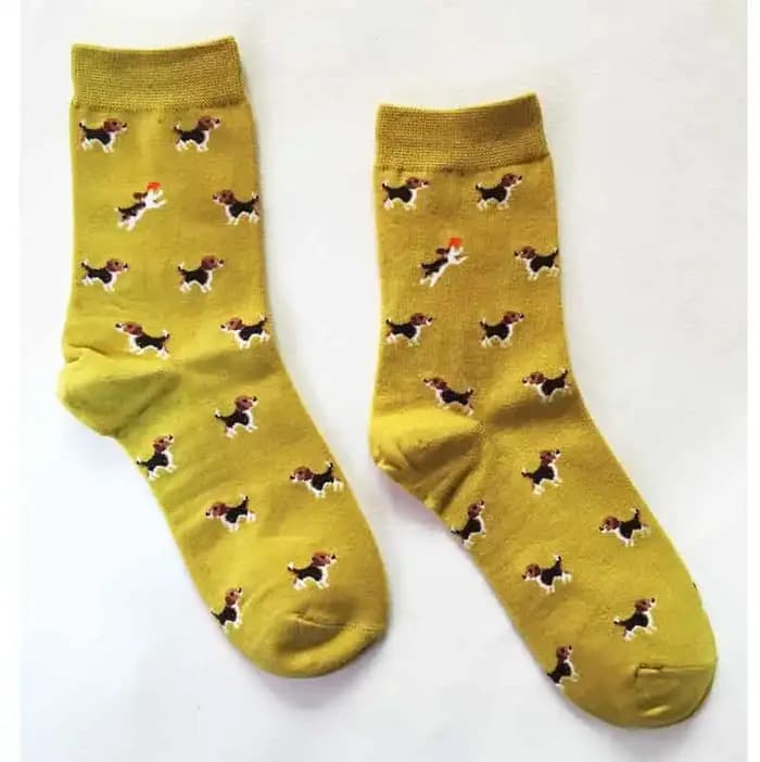 Chaussettes pour animaux Caramella