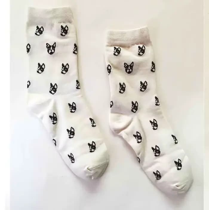 Chaussettes pour animaux Caramella, saucisse, chien, teckel, Ido hvalp hush pup AIN Huisdier, animal